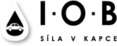 bg-logo